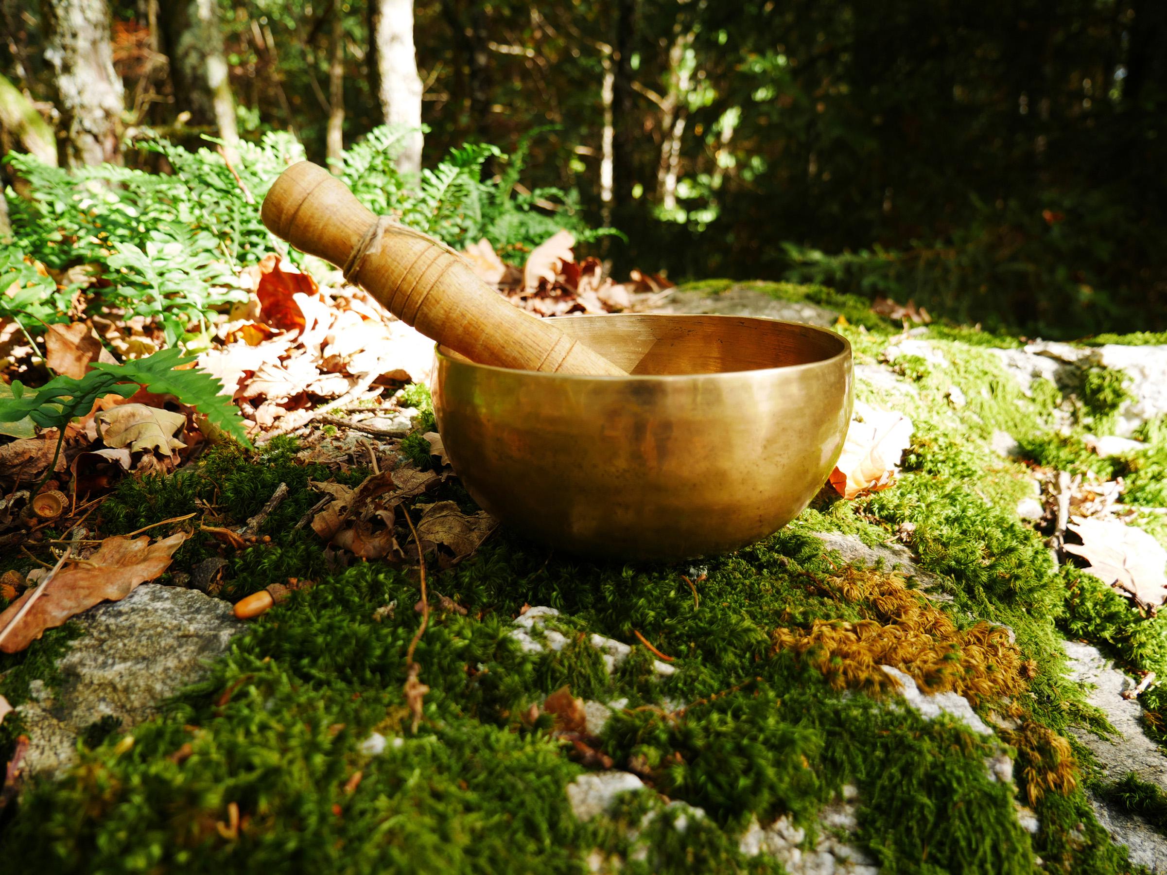 Beautiful photo of a singing bowl on a rock with moss and some dead leaves