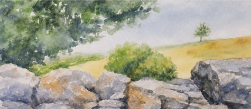 Workshop acquerello in Contrada Lesi