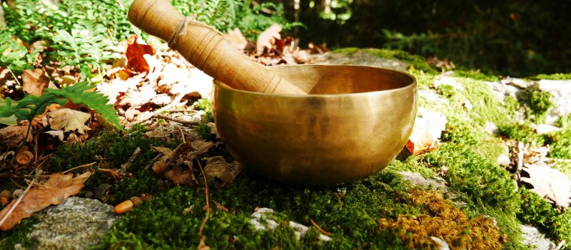 Beautiful photo of a singing bowl on a rock with moss and some dead leaves