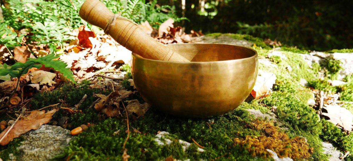 Beautiful photo of a singing bowl on a rock with moss and some dead leaves