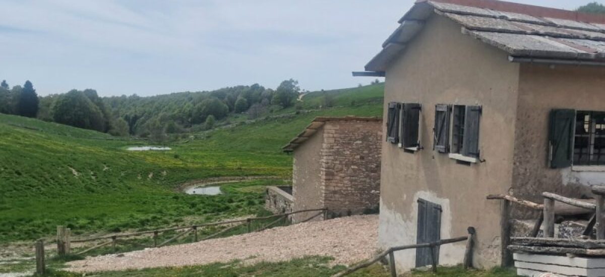 malga roste_1